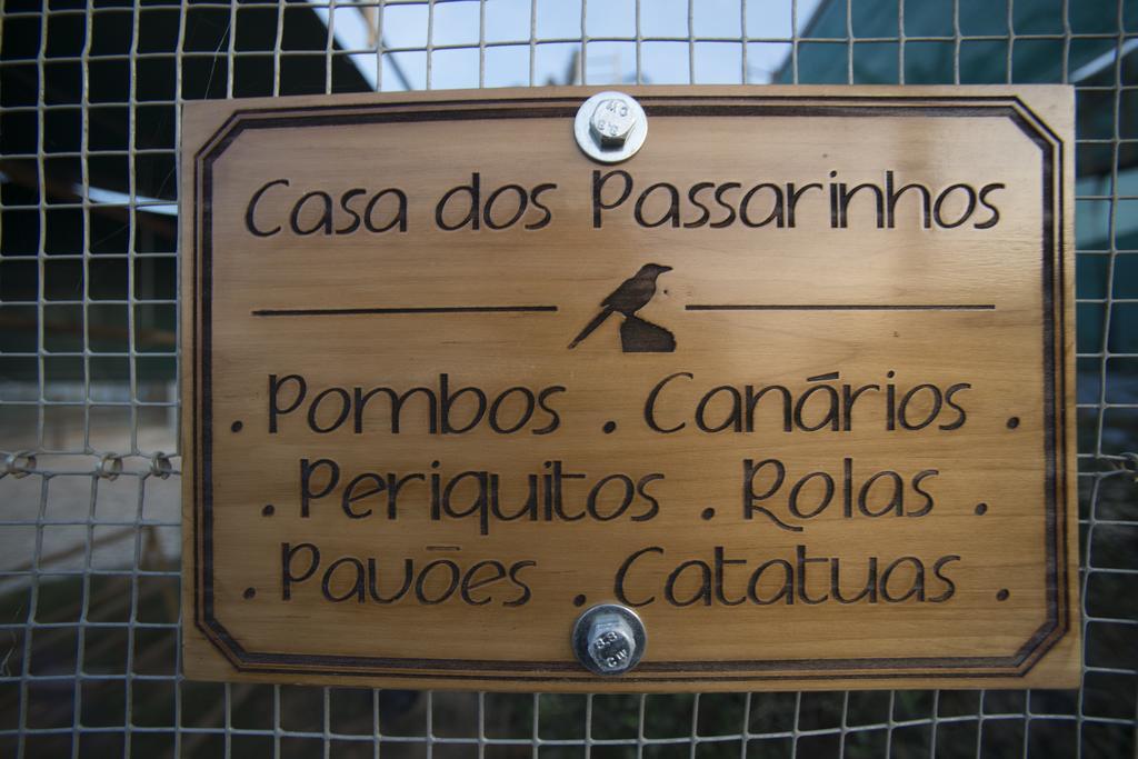 Vila Gale Alentejo Vineyard - Clube De Campo Albernoa Exteriör bild