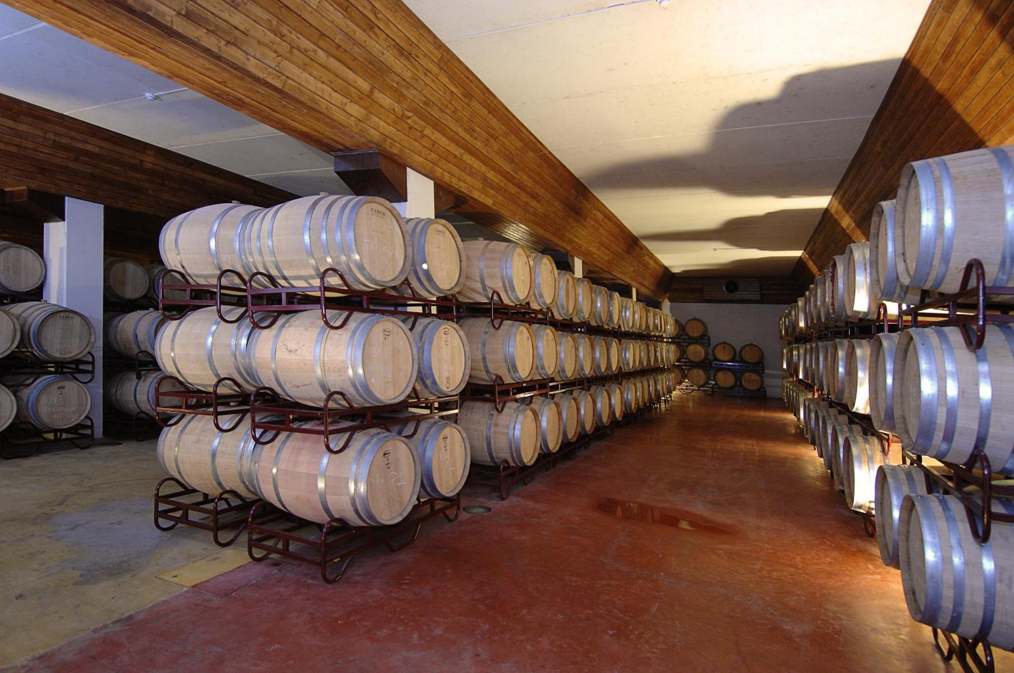 Vila Gale Alentejo Vineyard - Clube De Campo Albernoa Exteriör bild