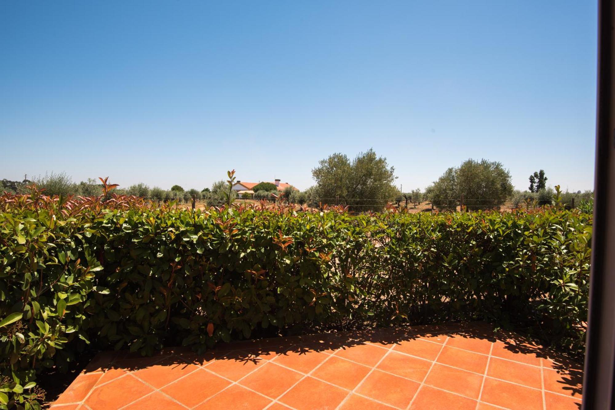 Vila Gale Alentejo Vineyard - Clube De Campo Albernoa Exteriör bild