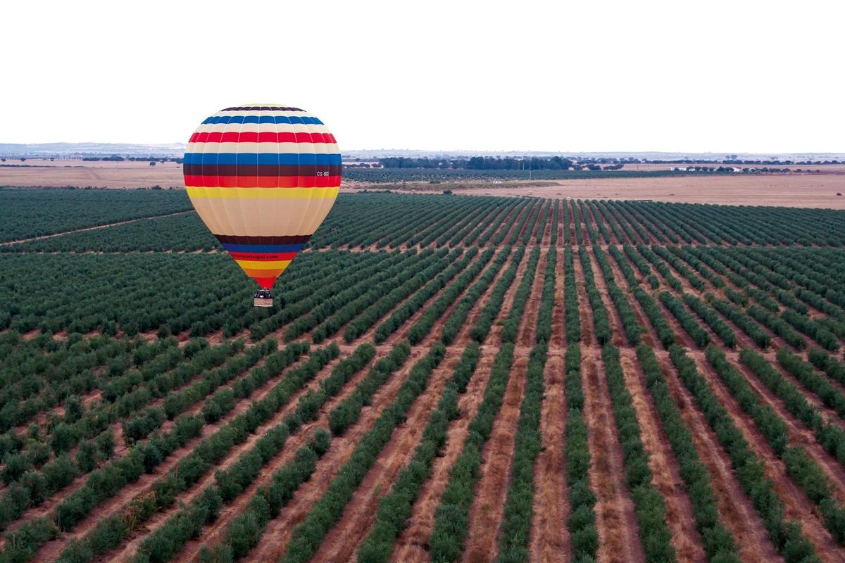 Vila Gale Alentejo Vineyard - Clube De Campo Albernoa Exteriör bild