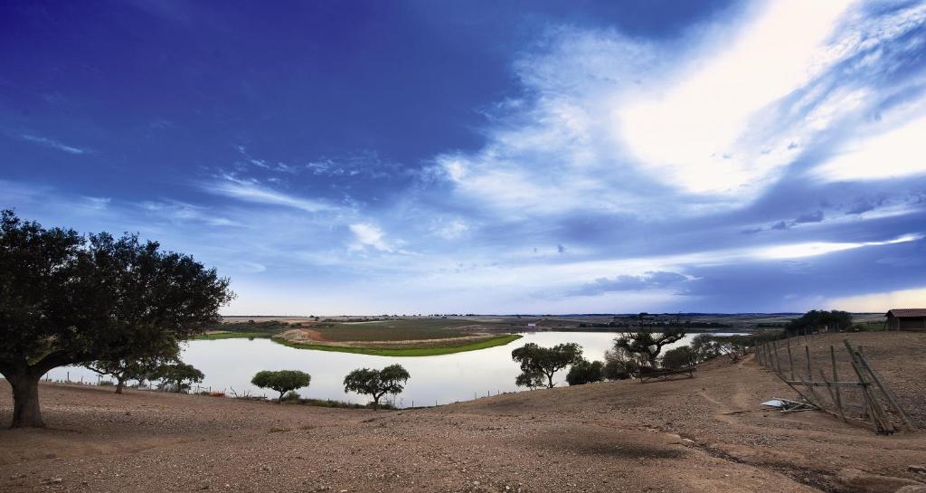 Vila Gale Alentejo Vineyard - Clube De Campo Albernoa Exteriör bild