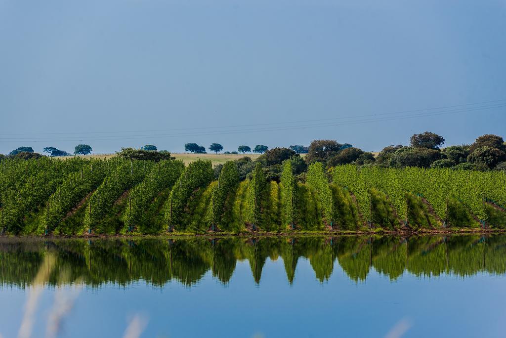 Vila Gale Alentejo Vineyard - Clube De Campo Albernoa Exteriör bild