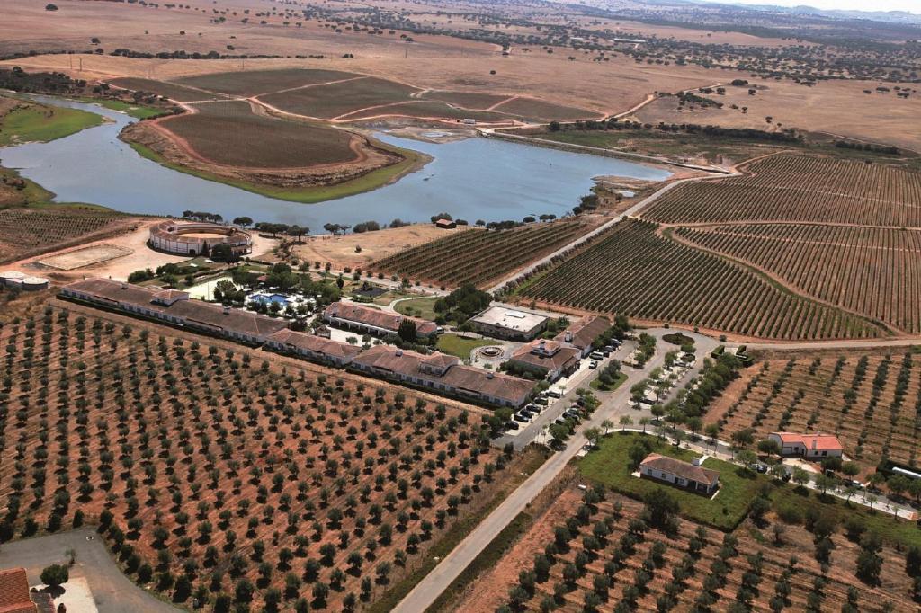 Vila Gale Alentejo Vineyard - Clube De Campo Albernoa Exteriör bild